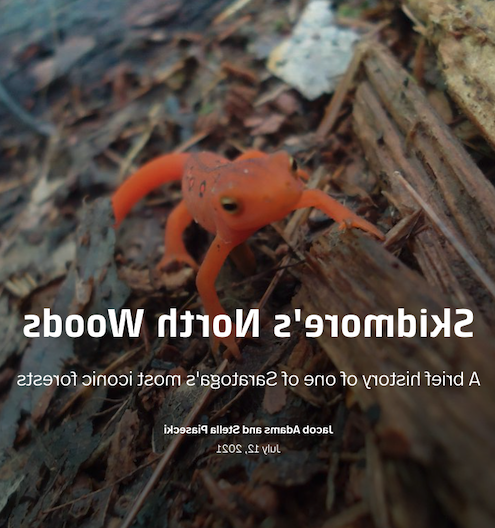 A bright orange red eft is the backdrop for text reading Skidmore's North Woods, one of Saratoga's most iconic forests 